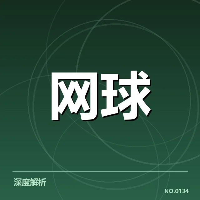 弗朗西斯科杯赛场上，塞尔维亚网球技术特点如何凸显